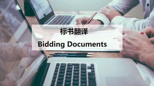 標書翻譯服務(wù) 專業(yè)助力企業(yè)競標國際化